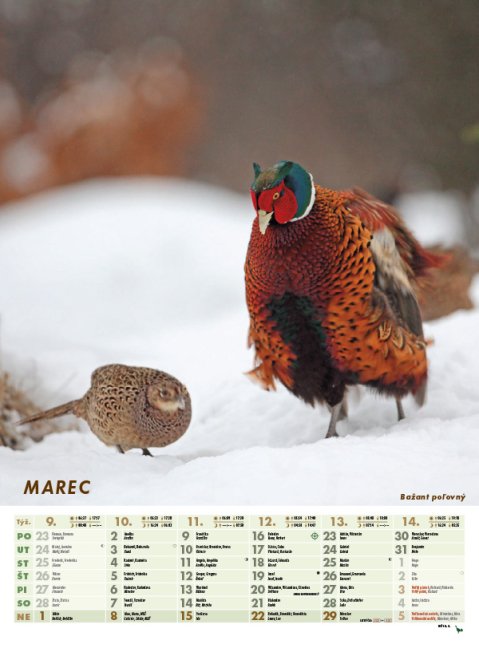 Nástenný kalendár POĽOVNÍK 2026 (NK-03)