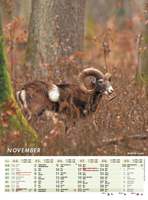 Nástenný kalendár POĽOVNÍK 2026 (NK-03)