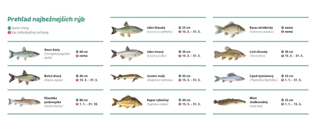 Stolový kalendár RYBÁRSKY 2026 (SK-12)