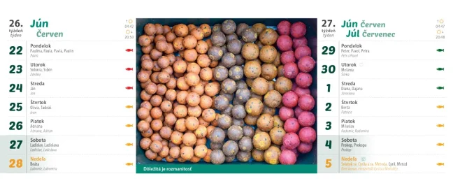 Stolový kalendár RYBÁRSKY 2026 (SK-12)