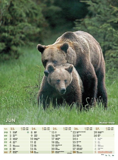 Nástenný kalendár POĽOVNÍK 2026 (NK-03)